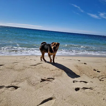 Domus Maura בית נופש *