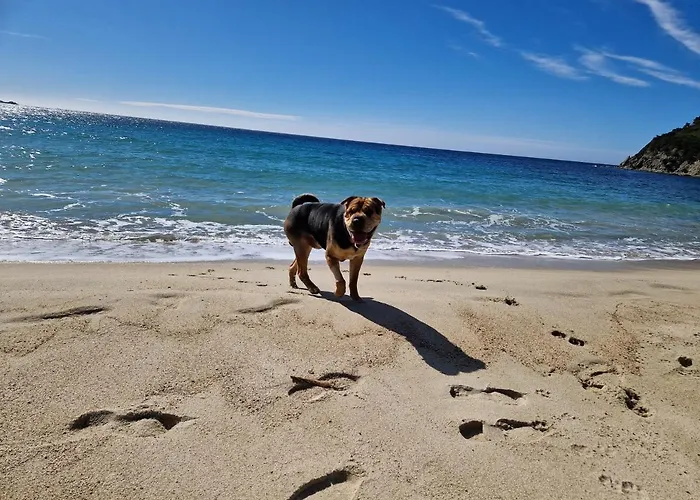 Domus Maura Σπίτι διακοπών *